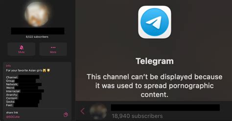 Police investigating obscene Telegram group chat 'SGWikiLeaks'.
